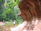 PICTURES/Sedona  West Fork Trail/t_Sharons Still Looking For A Sign.JPG